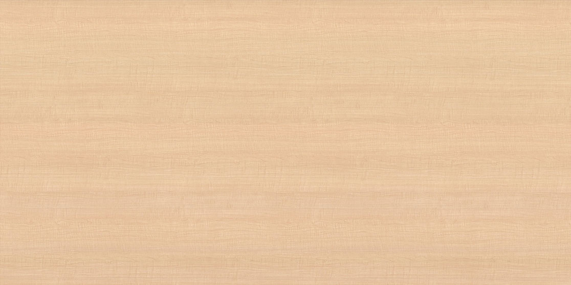 Sugar Maple ∙ G2
