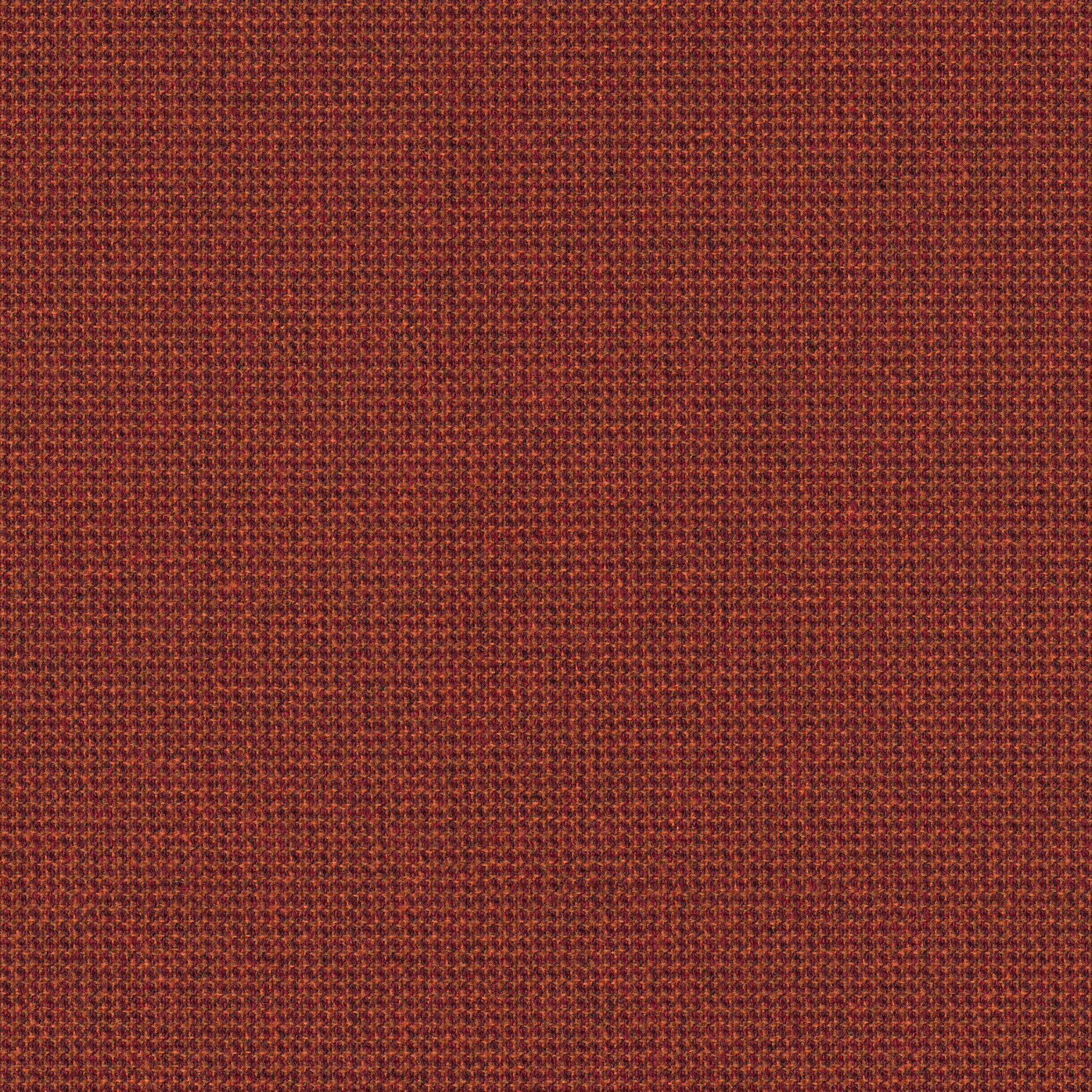 SoftNext · 2201