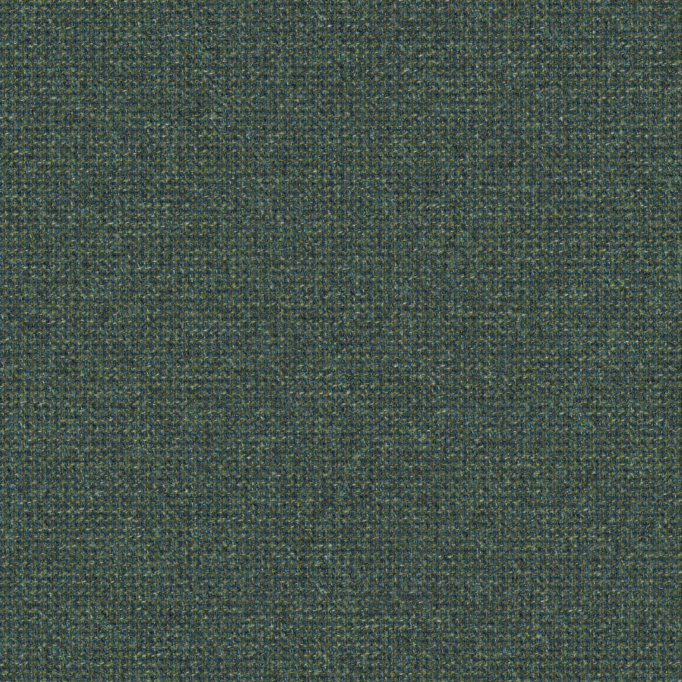 SoftNext · 2601