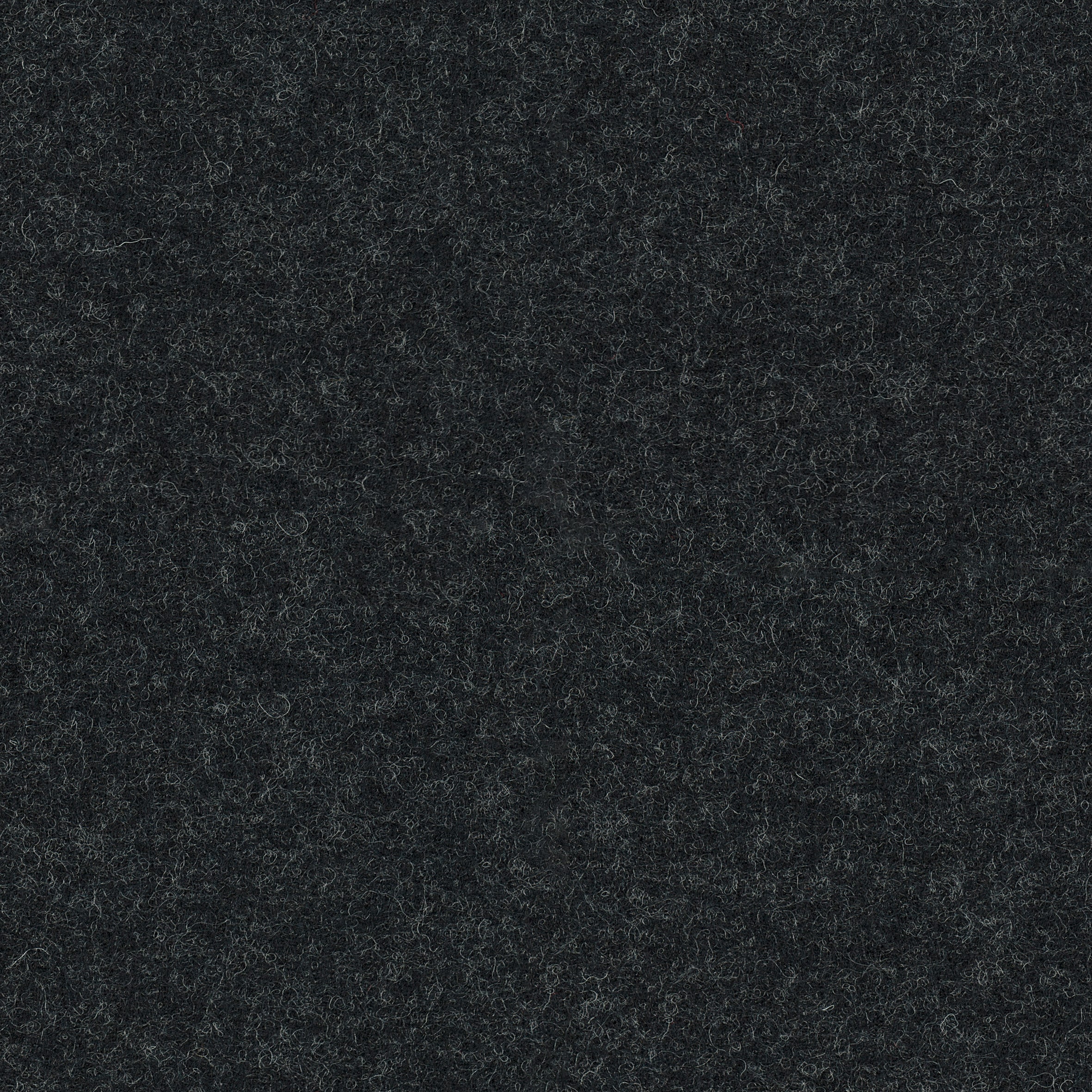 Focus Melange · 60099