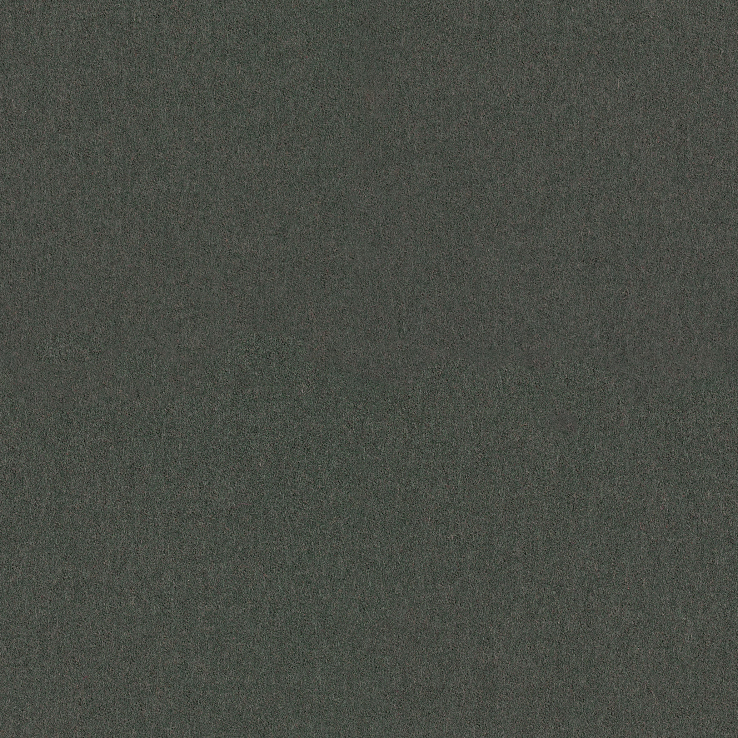 Focus · 60212