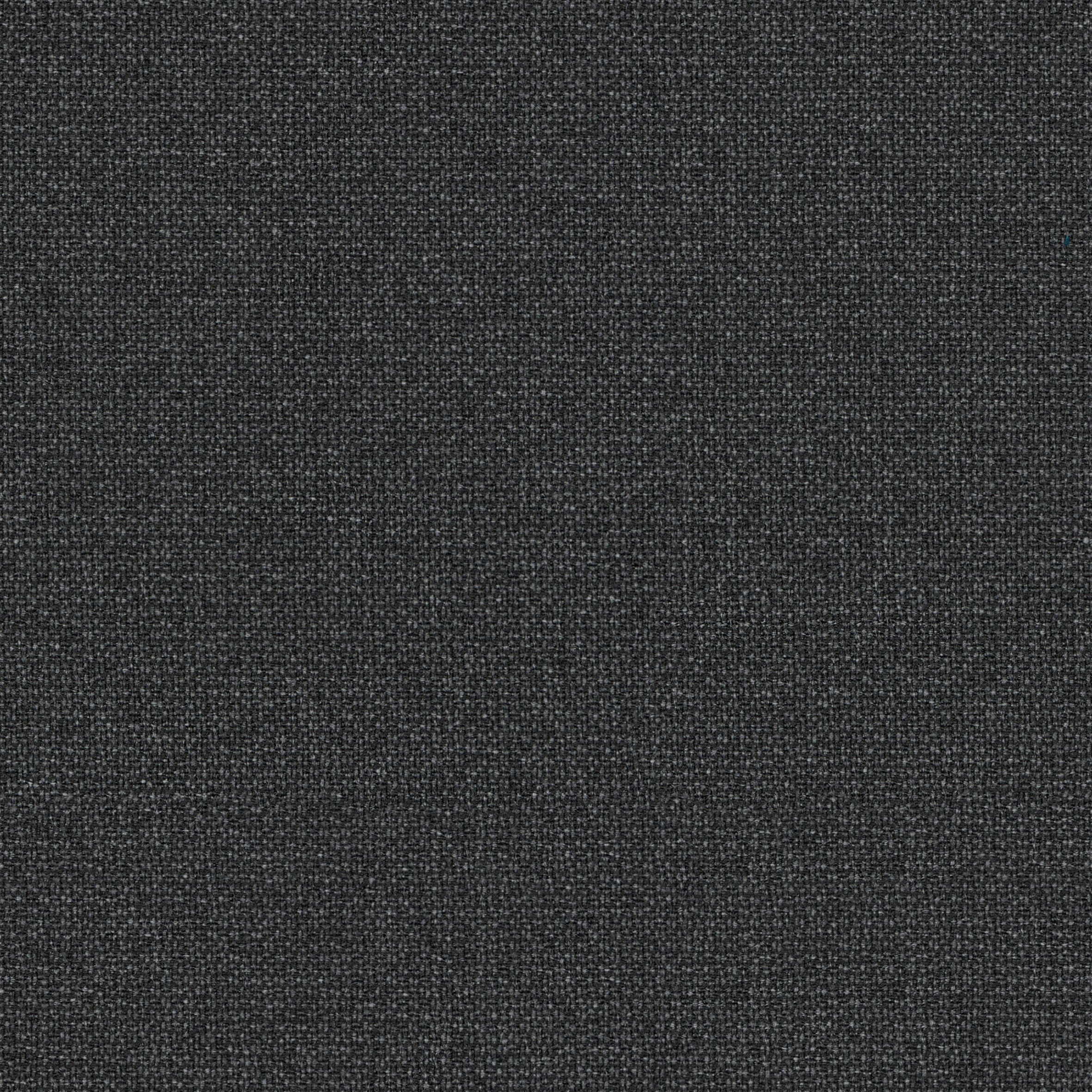 Renewed Loop · 60342
