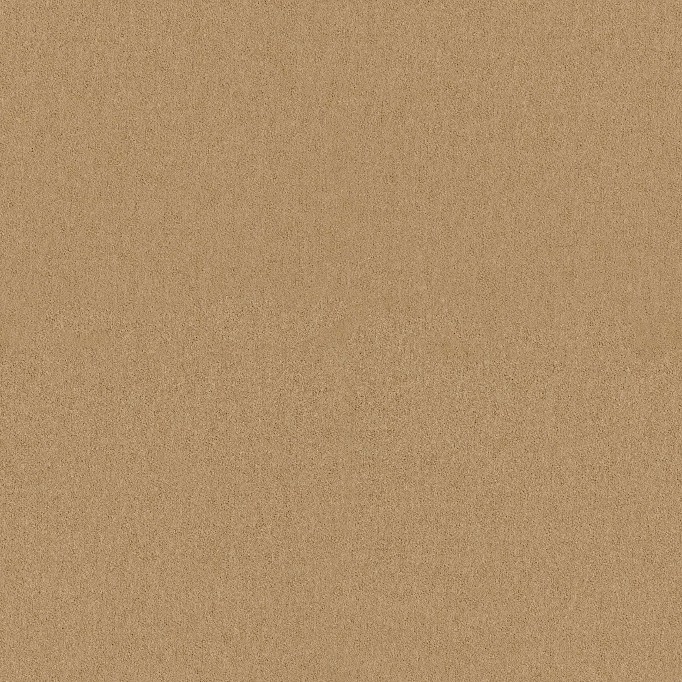 Focus · 61039