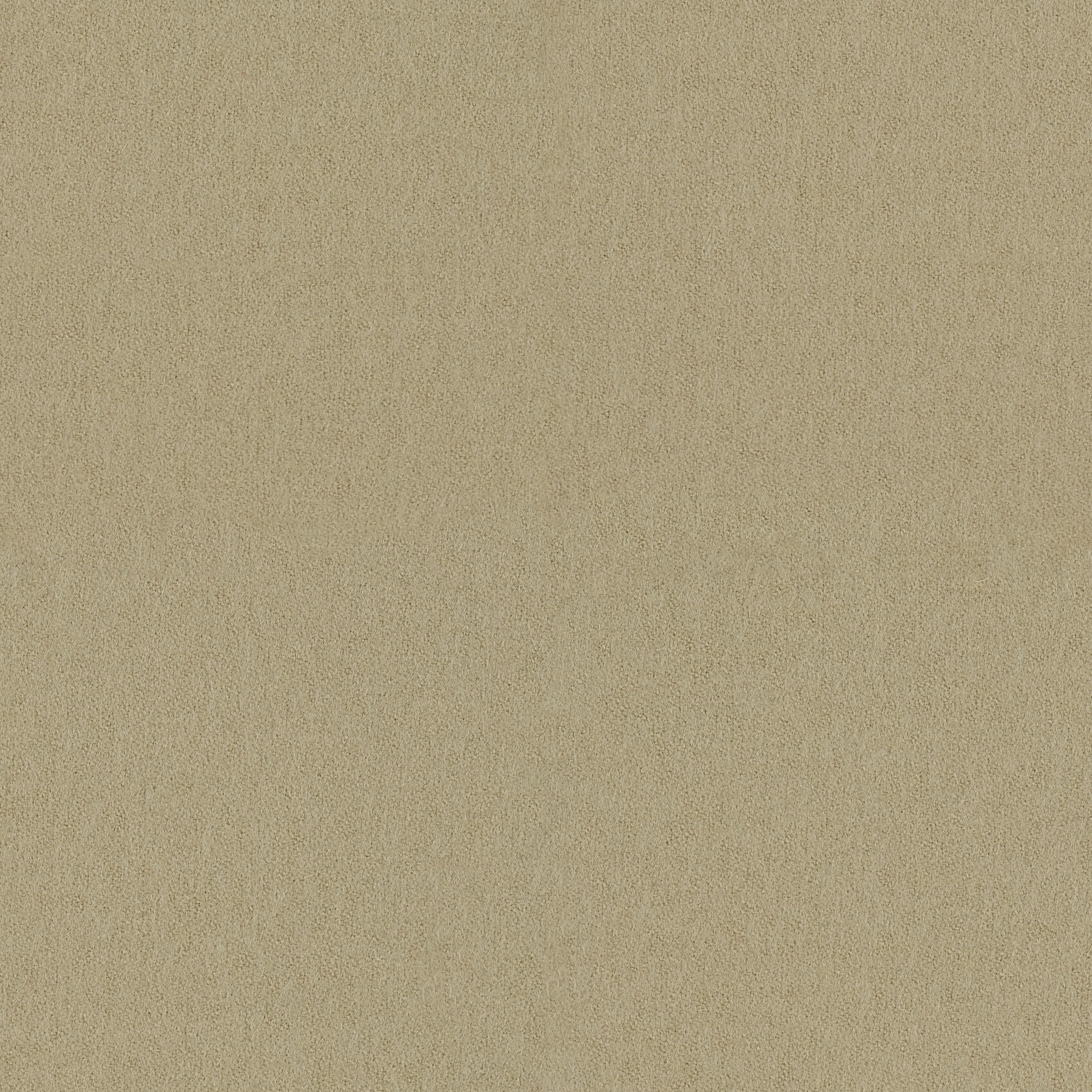 Focus · 61040