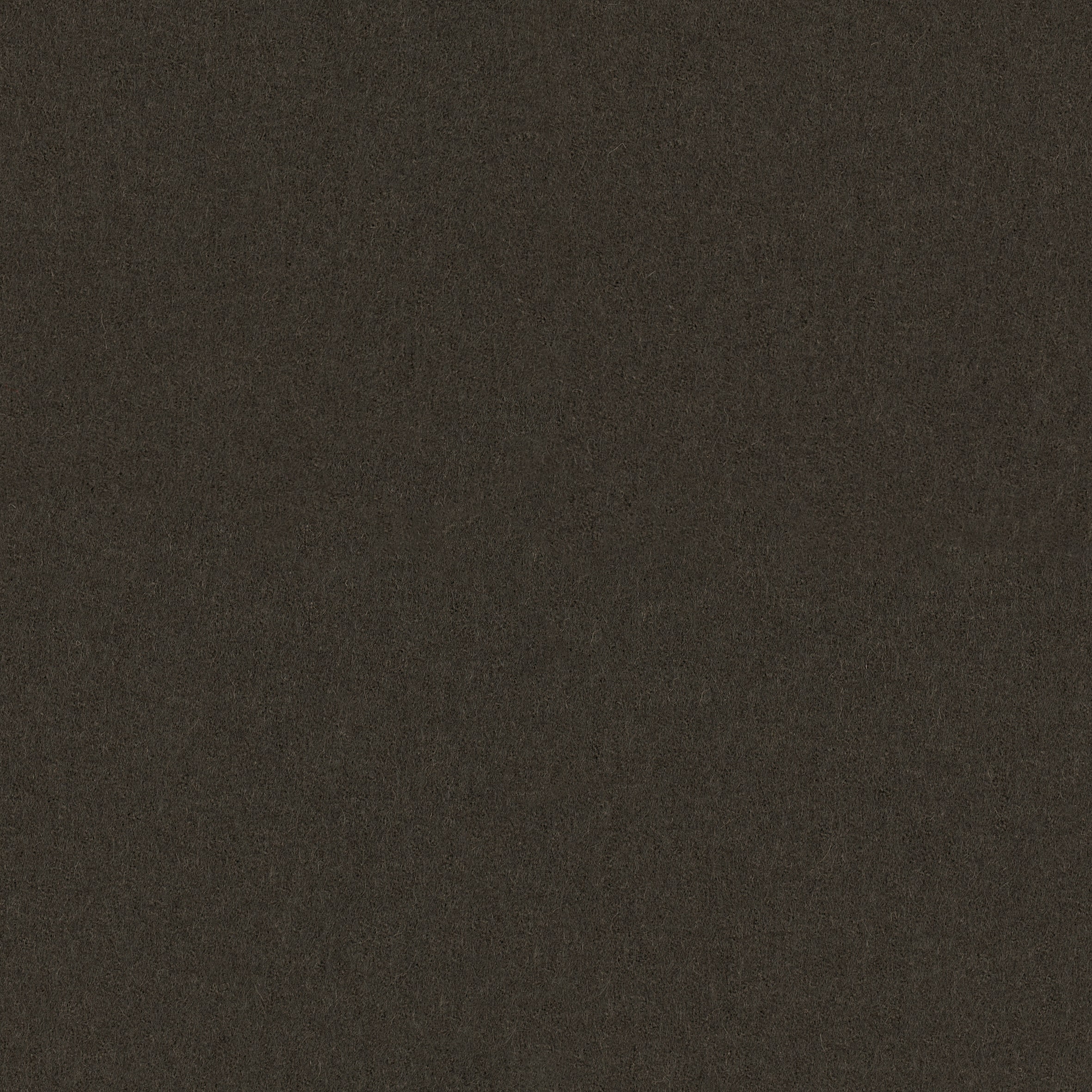 Focus · 61043