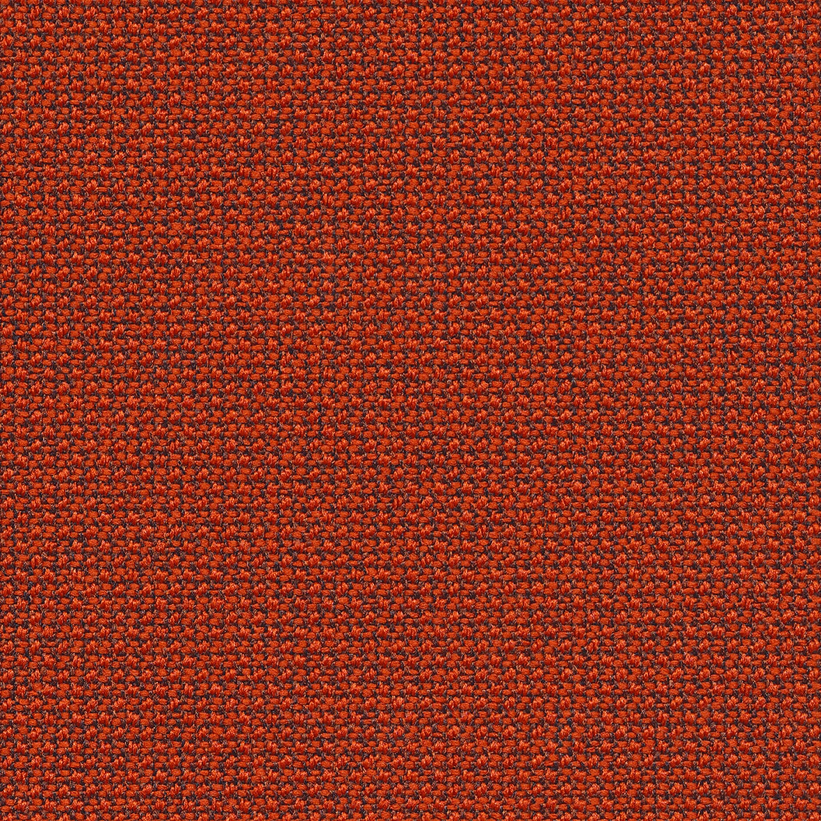 Cura · 63012