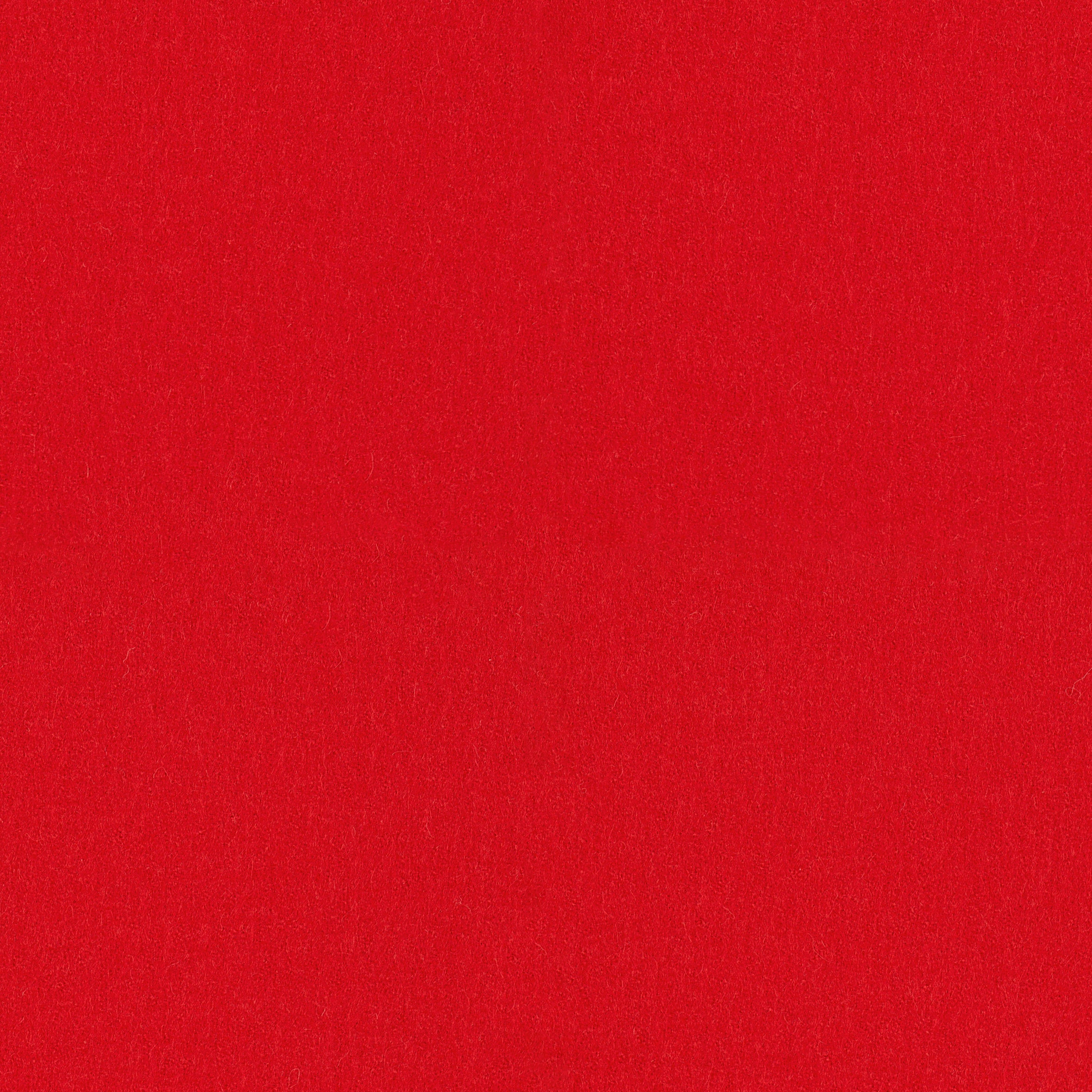 Focus · 64041