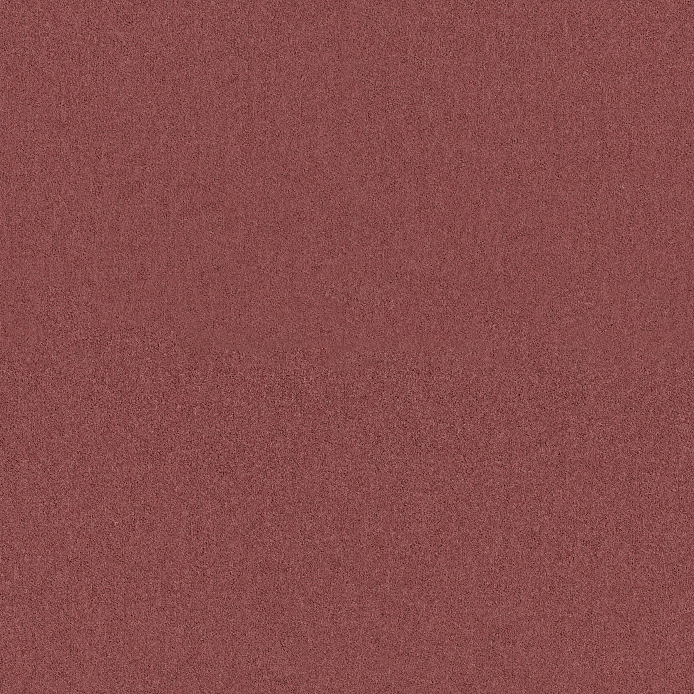 Focus · 64044