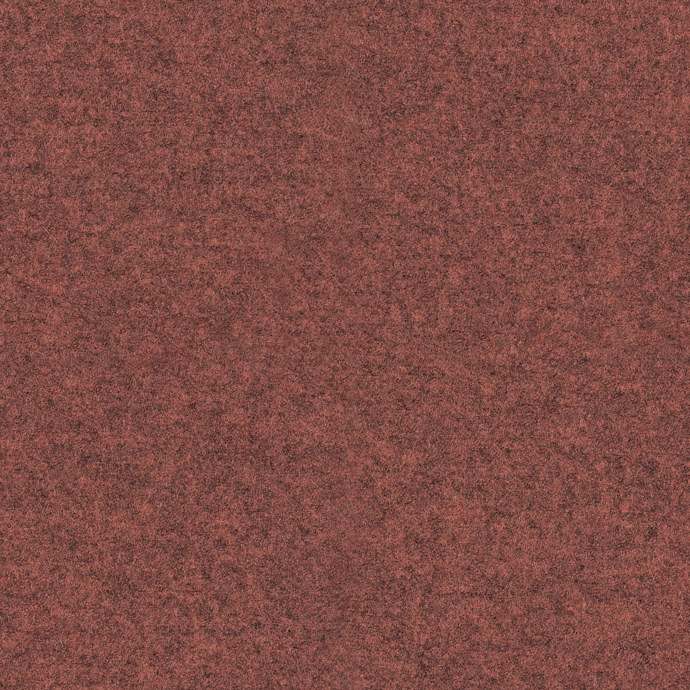 Focus Melange · 64243