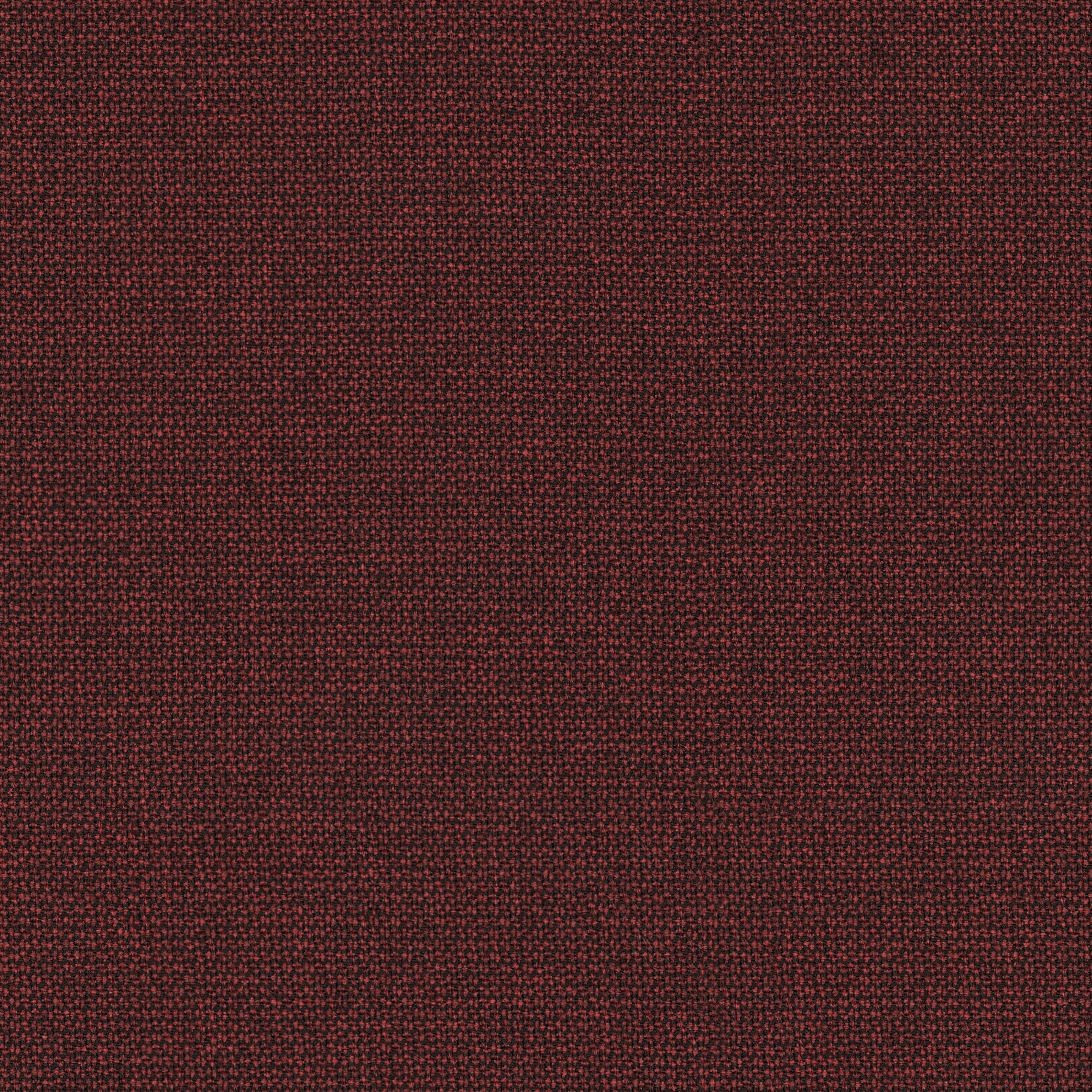Renewed Loop · 64262