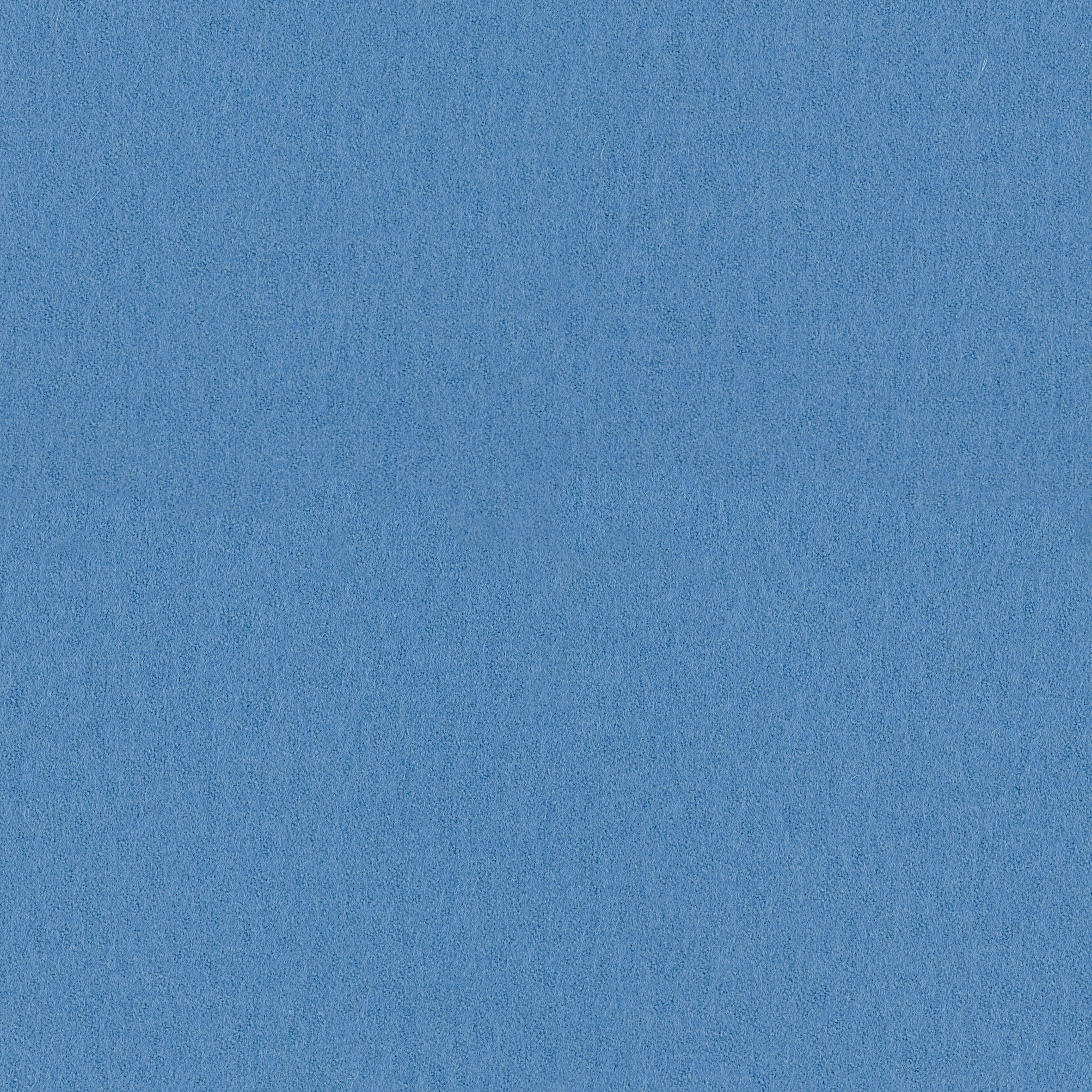 Focus · 66022