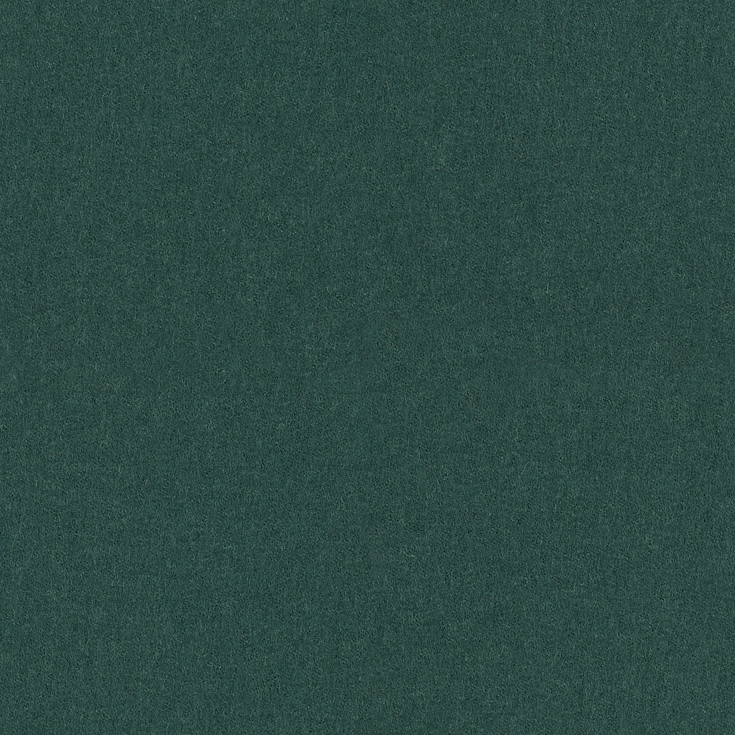 Focus · 68049
