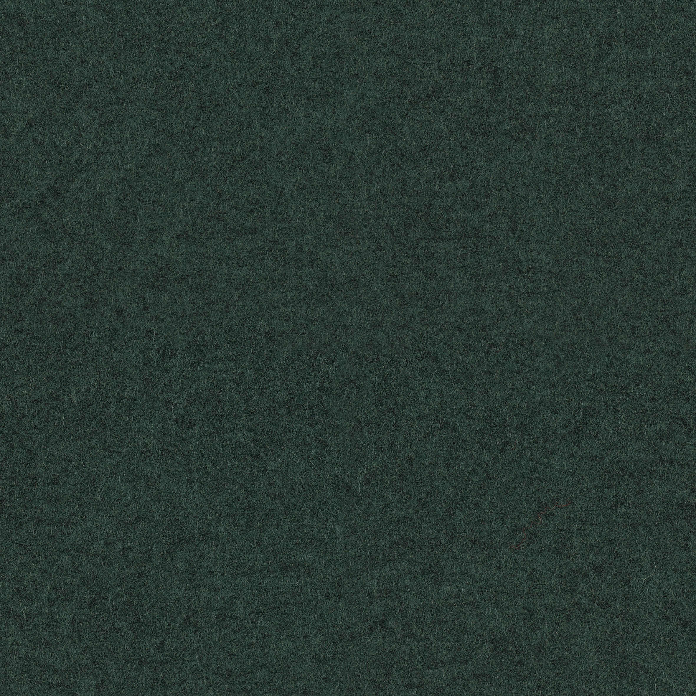 Focus Melange · 68249