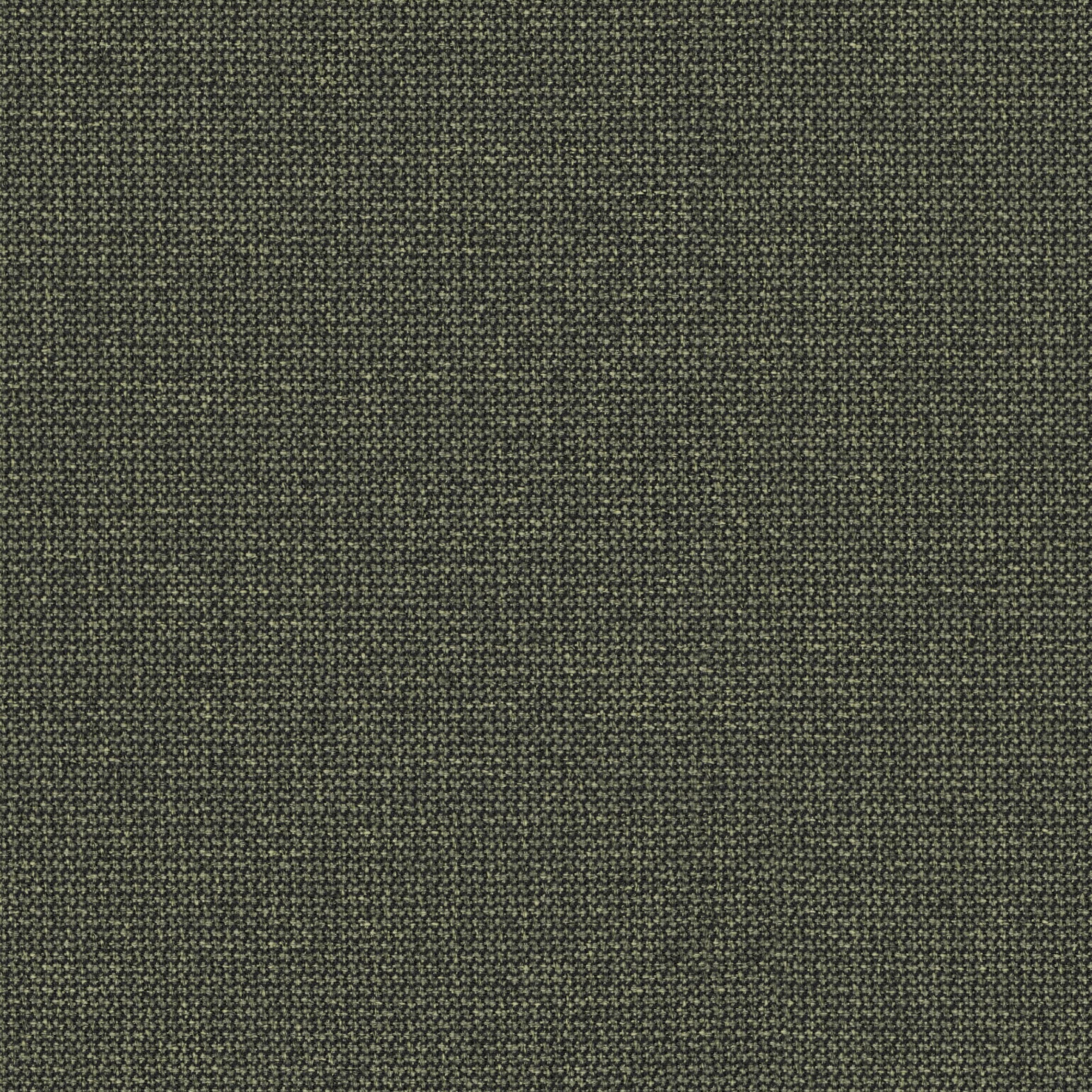 Renewed Loop · 68288