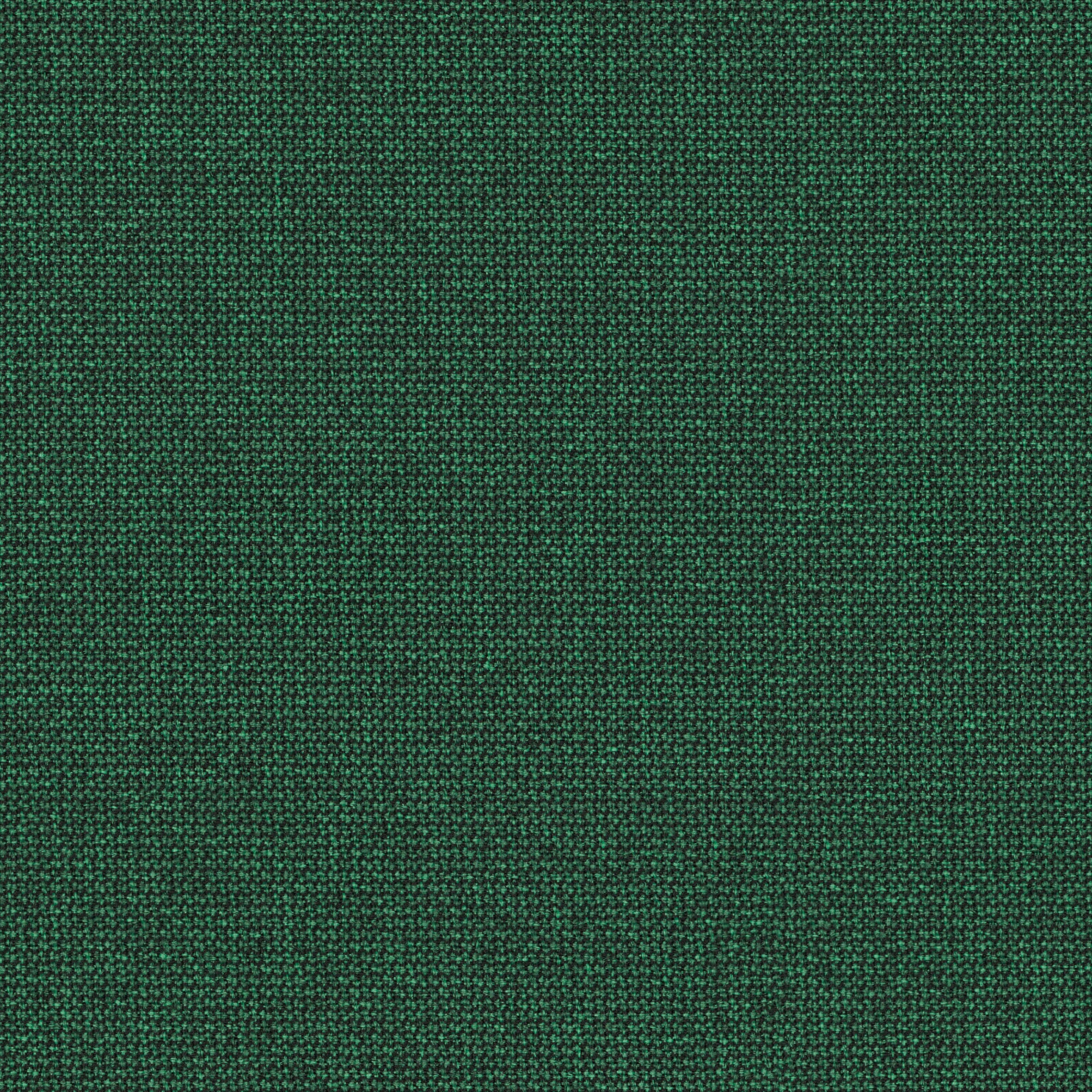 Renewed Loop · 68294