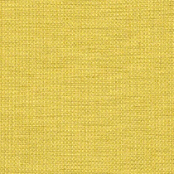 Aerie Canary · AIE64