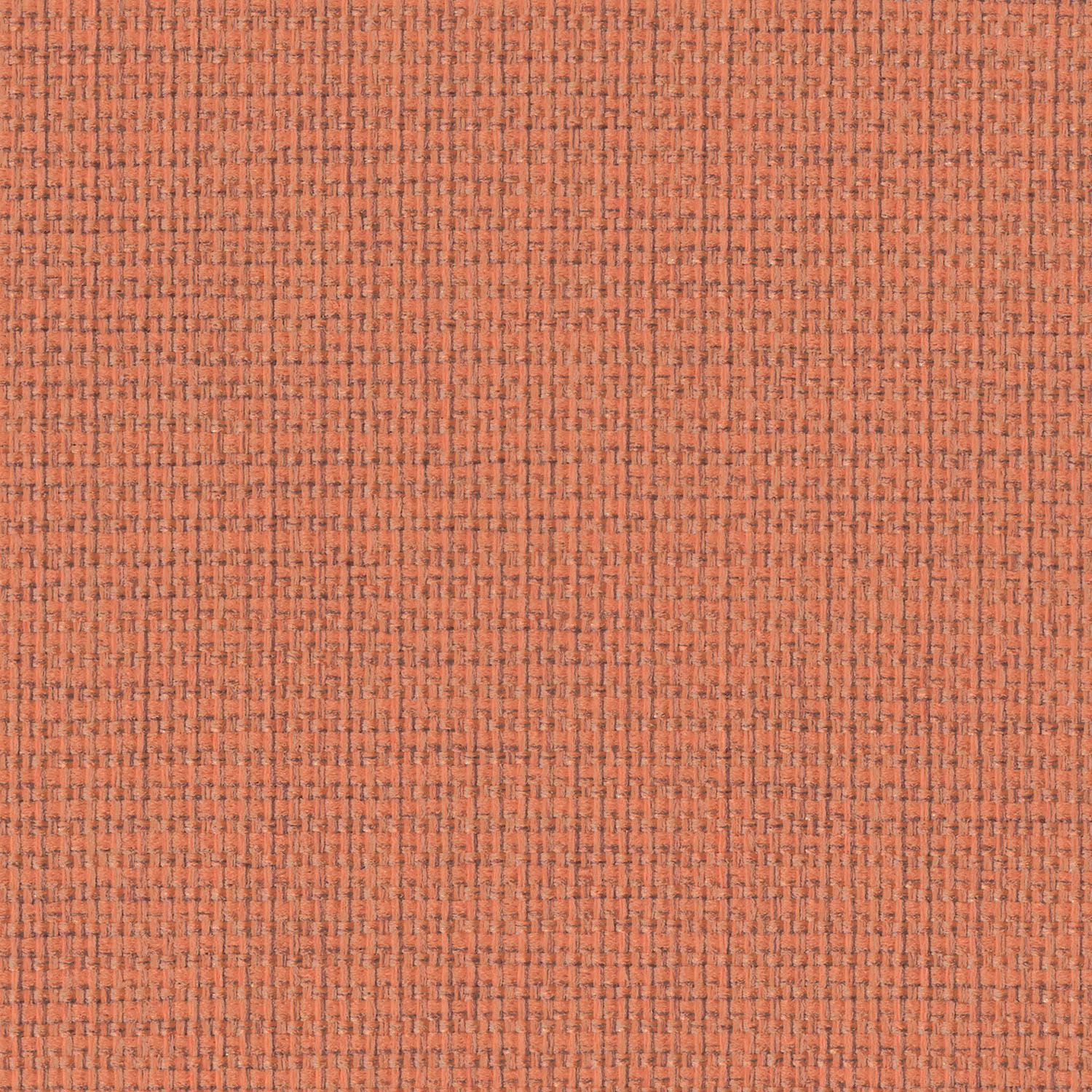 Intuition · 4856 Coral · 1714