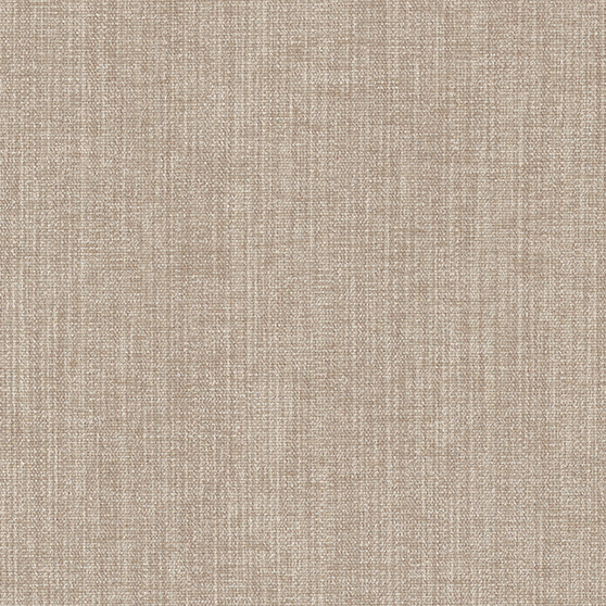 Artisan Fossil · 65075