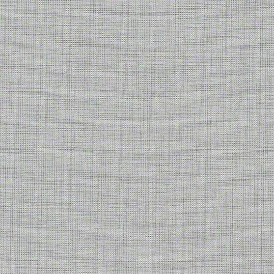 Aerie Frosted · AIE66