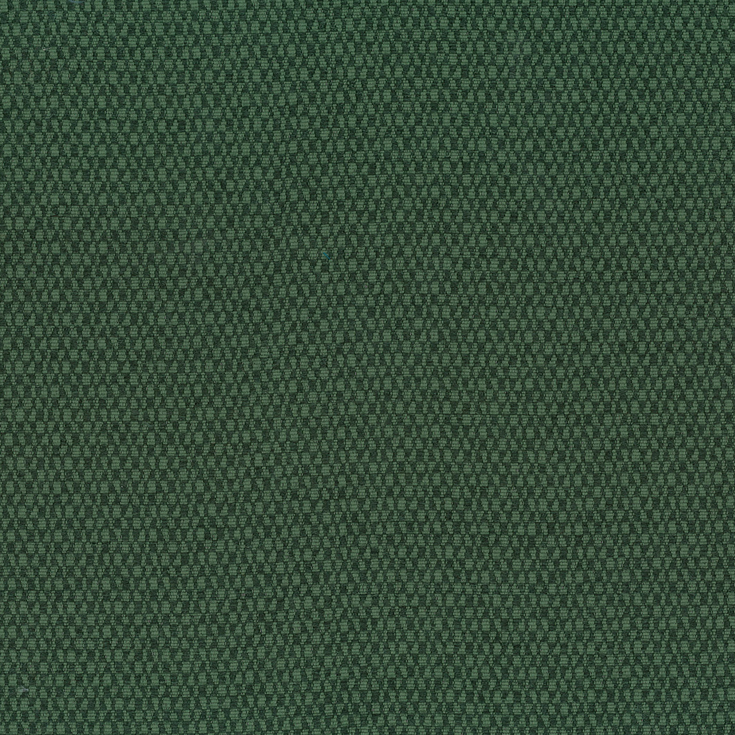Tidal · 2180 Kelp · 952
