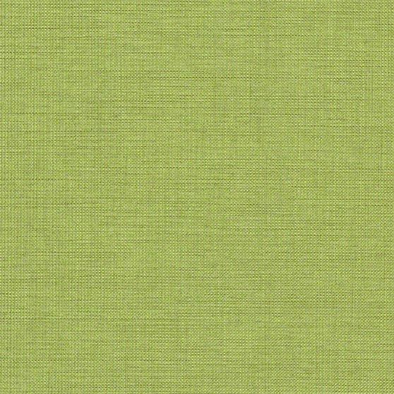 Aerie KeyLime · AIE63