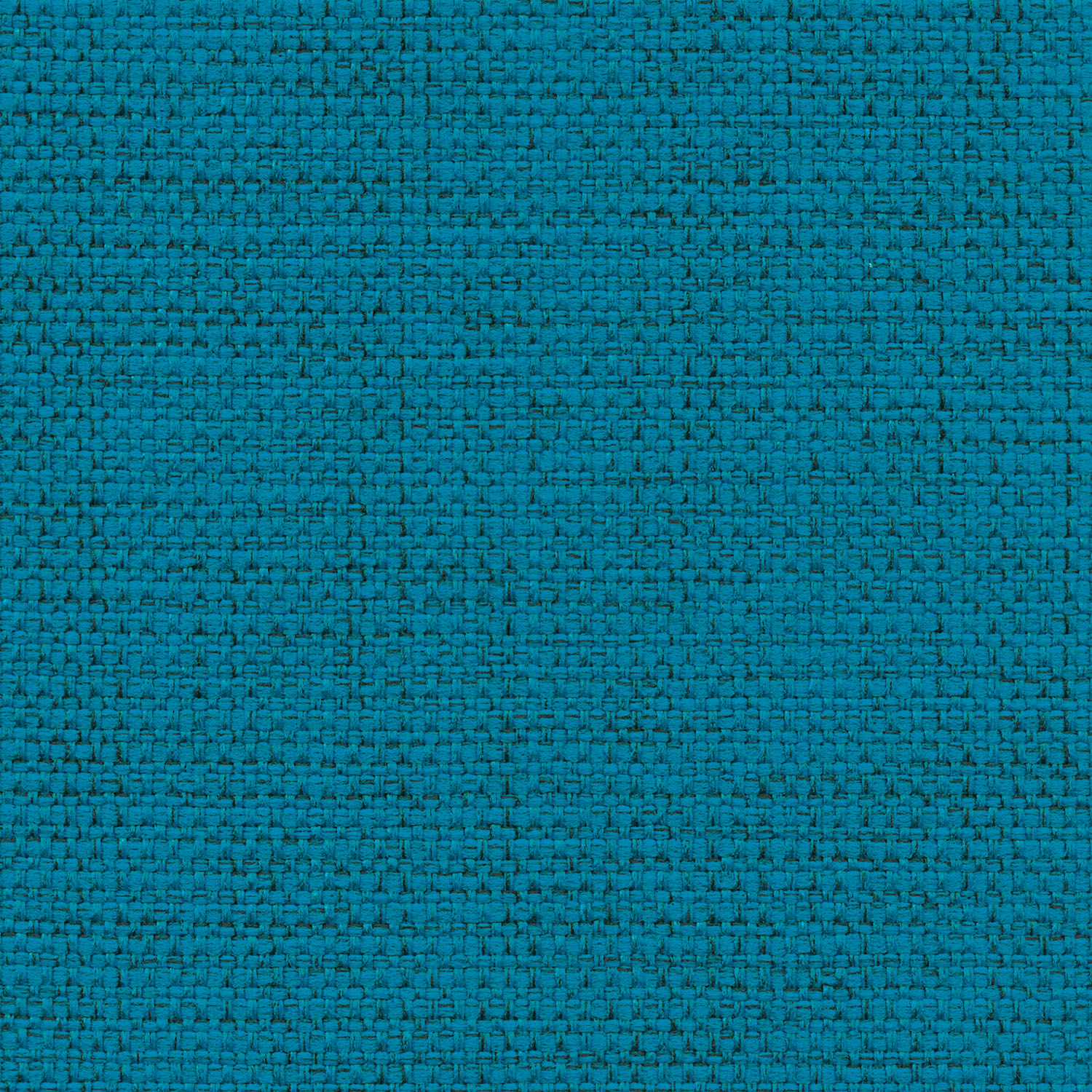 Intuition · 4856 Peacock · 1722