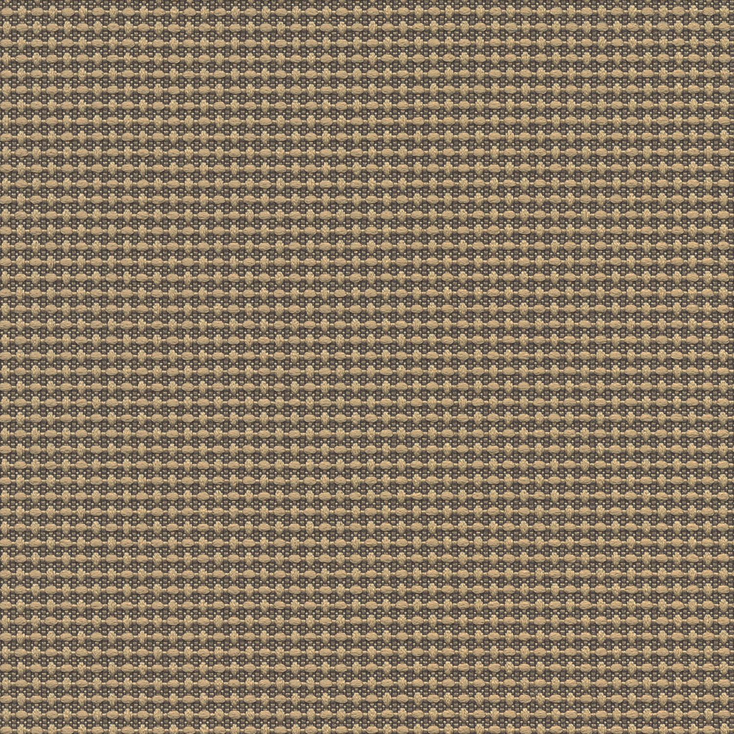Quadrille · 4701 Regalia · 1005