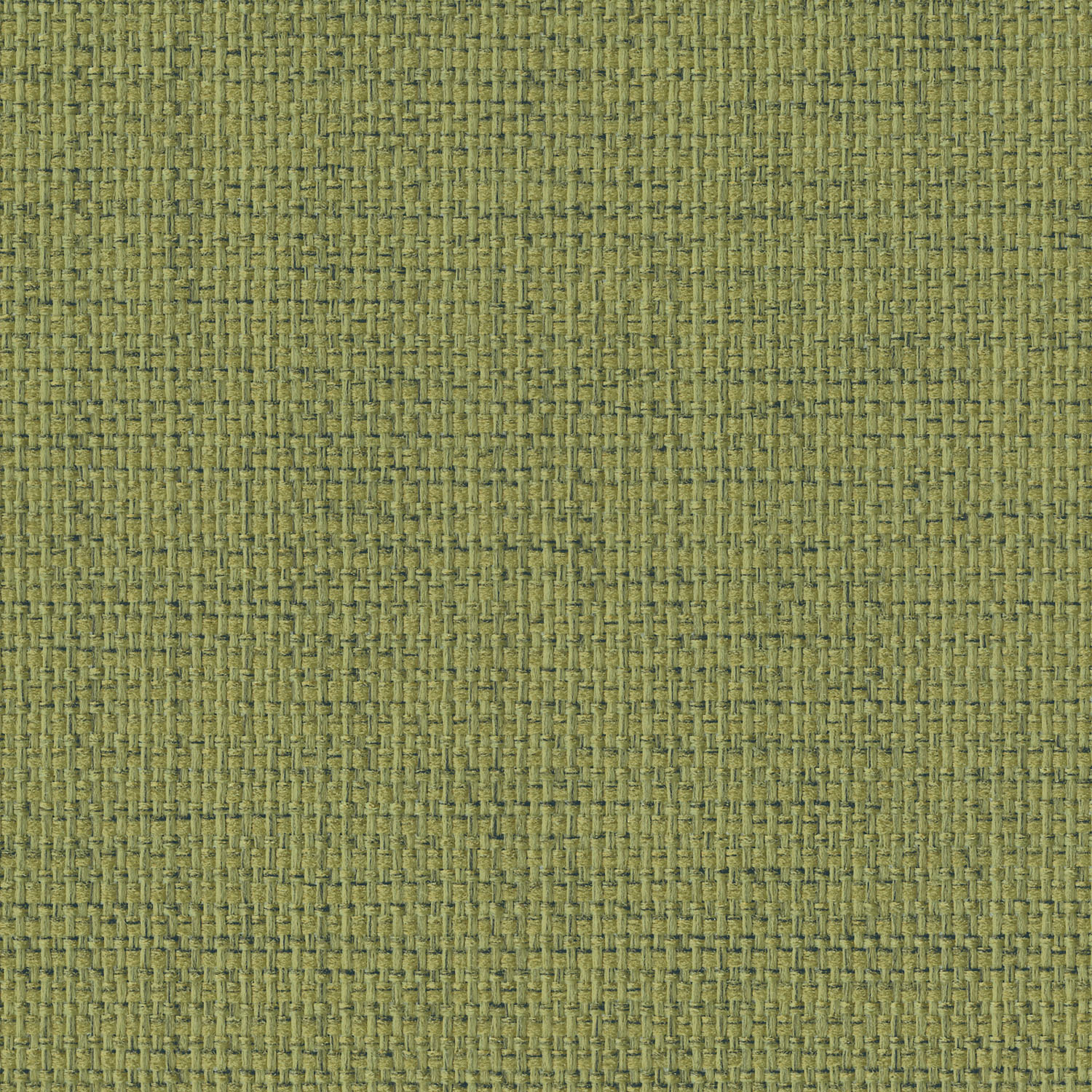 Intuition · 4856 Sage · 1721