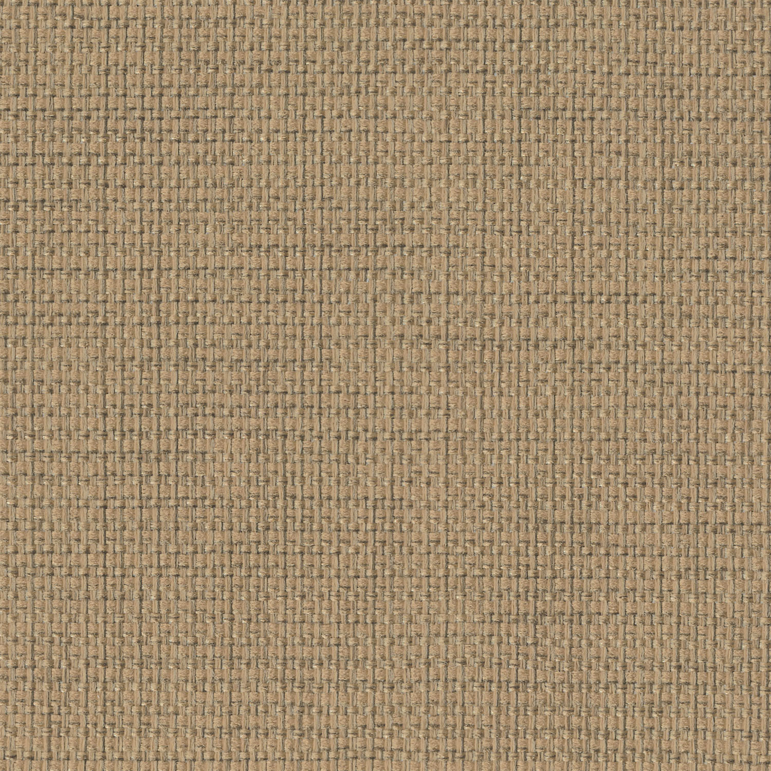 Intuition · 4856 Sand · 1713