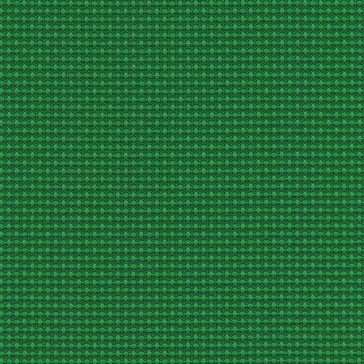 Quadrille · 4701 Shenanigan · 1017
