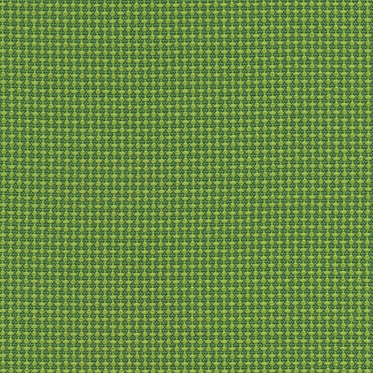 Quadrille · 4701 Spring · 1006