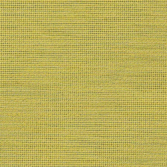Gravity Sprout · 63977