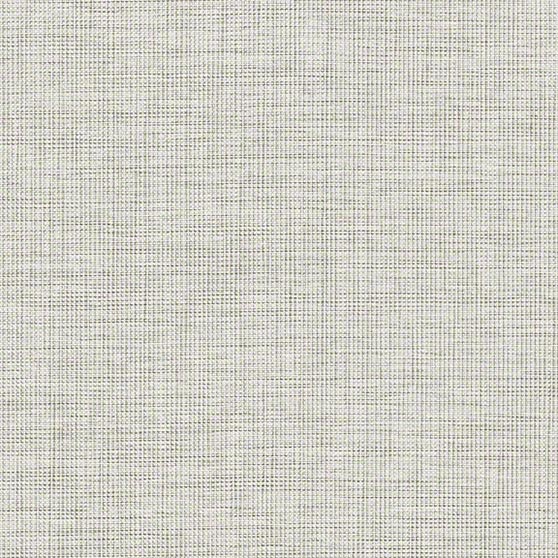 Aerie WhiteCap · AIE61